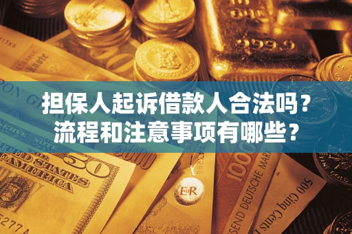 北京担保人起诉借款人合法吗？流程和注意事项有哪些？