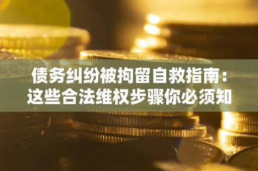 北京债务纠纷被拘留自救指南：这些合法维权步骤你必须知道！