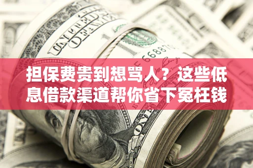 北京担保费贵到想骂人？这些低息借款渠道帮你省下冤枉钱