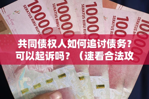 北京共同债权人如何追讨债务？可以起诉吗？（速看合法攻略）