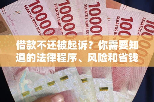 北京借款不还被起诉？你需要知道的法律程序、风险和省钱技巧